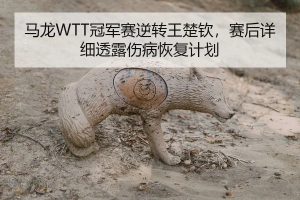 马龙WTT冠军赛逆转王楚钦，赛后详细透露伤病恢复计划